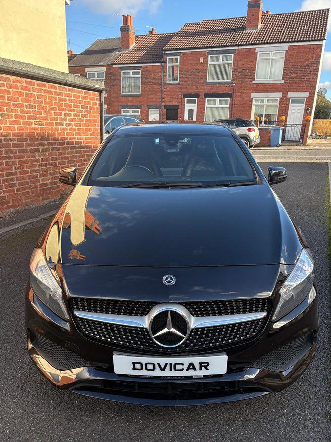 Dovicar work 31